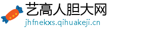 艺高人胆大网